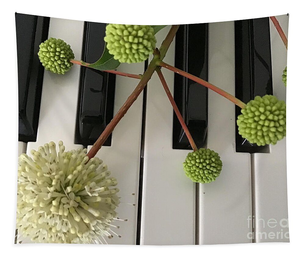 Buttonbush Tapestry featuring the photograph Buttonbush on Keyboard by Catherine Wilson