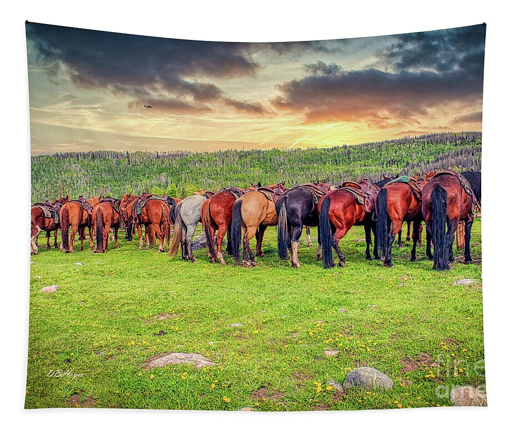 Horses Tapestry featuring the photograph Butts by DB Hayes
