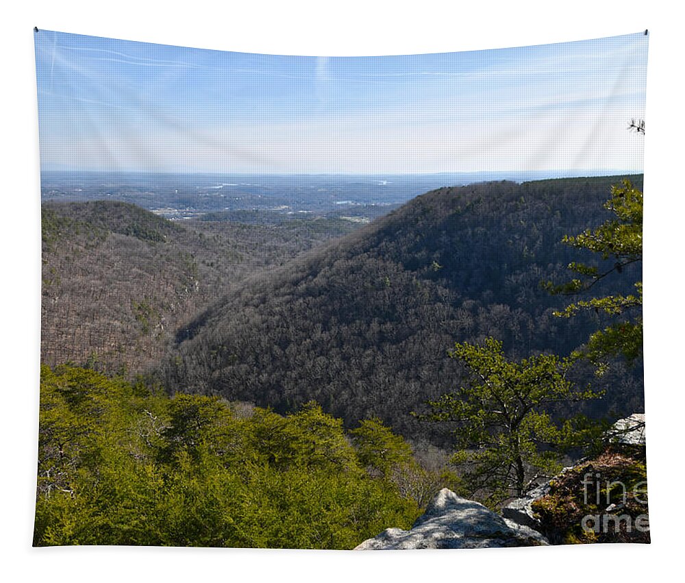 Cumberland Plateau Tapestry featuring the photograph Buzzard Point Overlook 1 by Phil Perkins