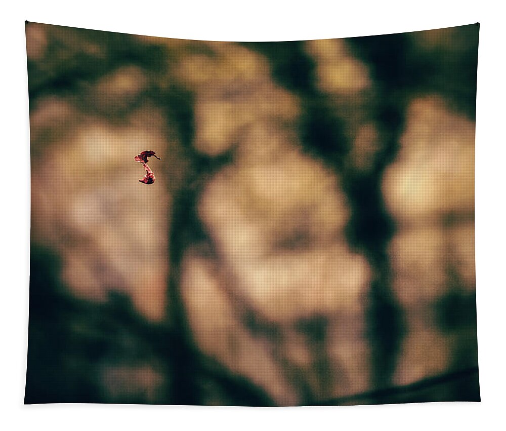 Forest Tapestry featuring the photograph By a thread by Gavin Lewis