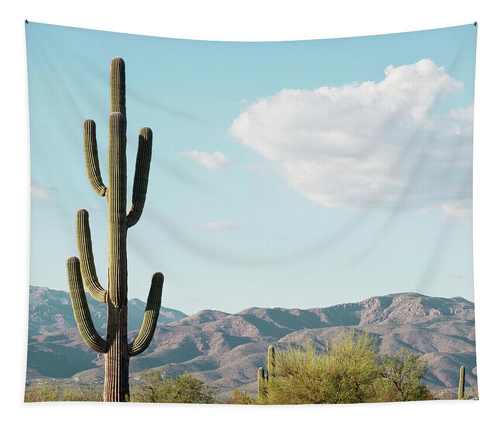 Botanic Tapestry featuring the photograph Cacti Cactus Collection - Saguaro Tucson by Philippe HUGONNARD