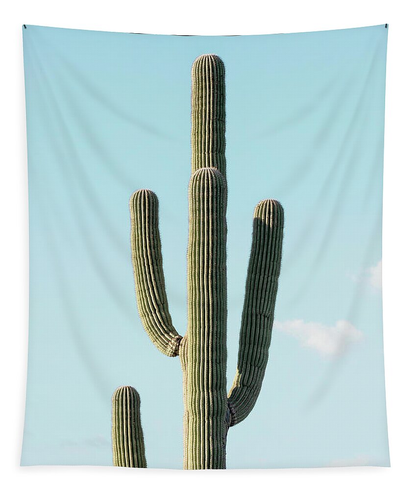 Botanic Tapestry featuring the photograph Cacti Cactus Collection - The Cactus by Philippe HUGONNARD