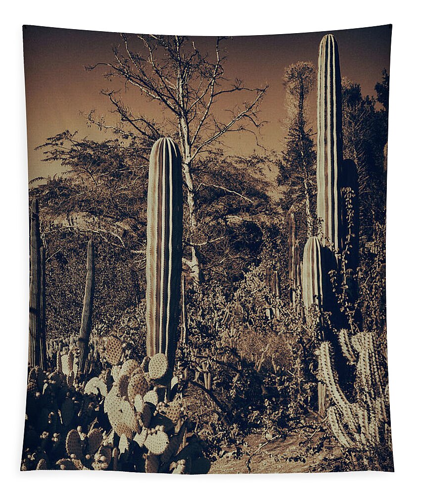 Cactus Tapestry featuring the photograph Cactus Garden 9 by Lawrence Knutsson