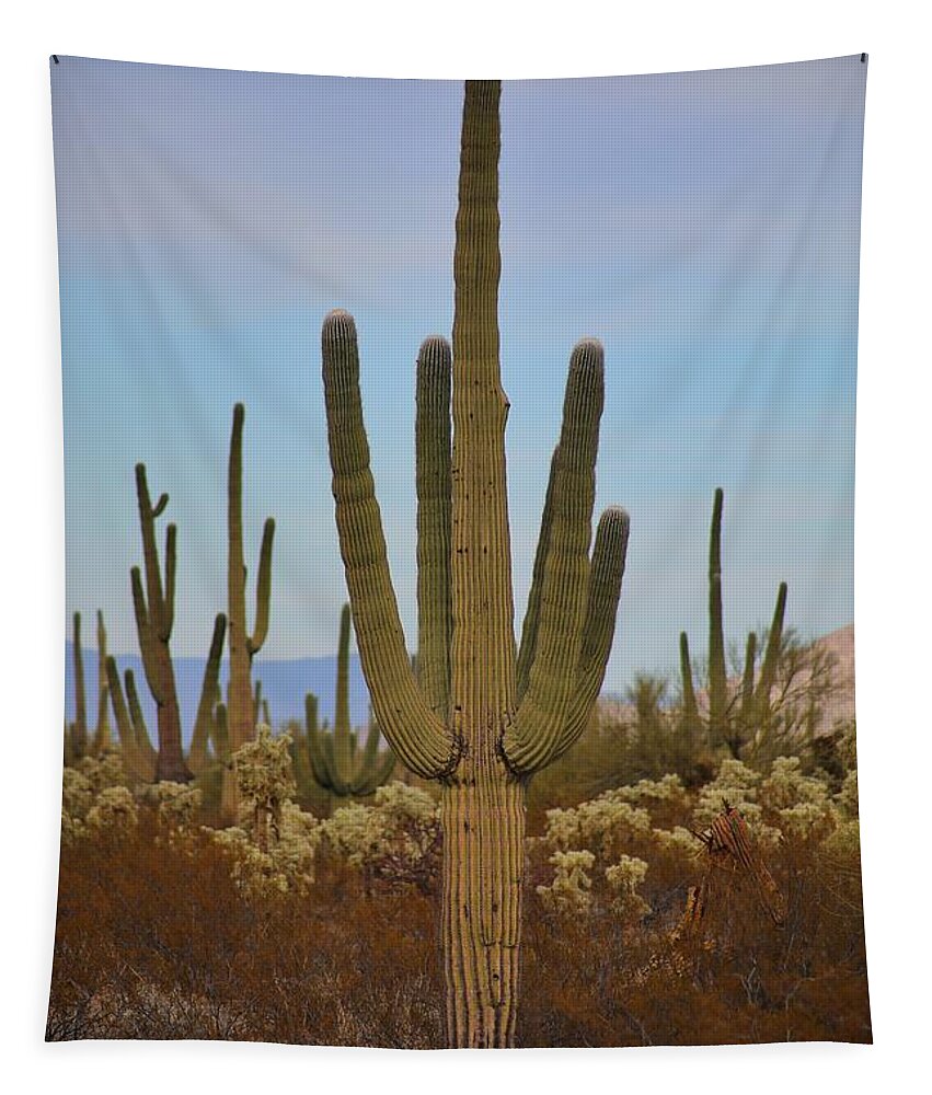 Cactus Tapestry featuring the photograph Cactus Magic by Go and Flow Photos