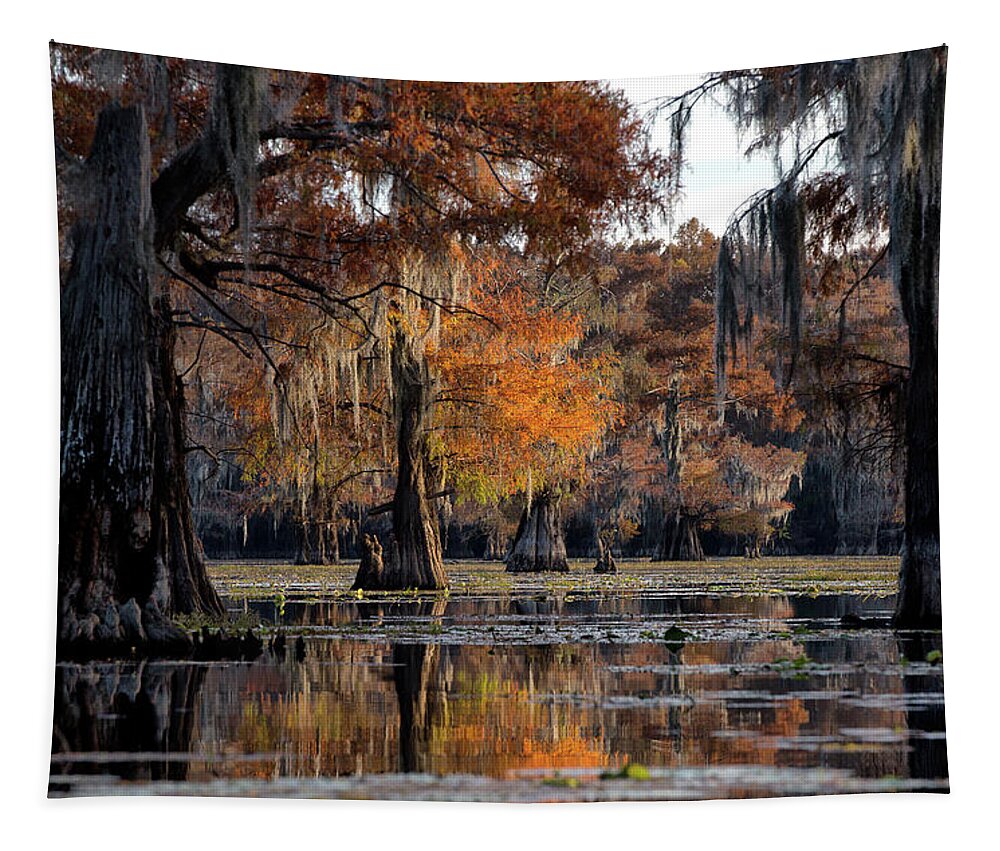  Tapestry featuring the photograph Caddo Lake State Park - Texas by William Rainey