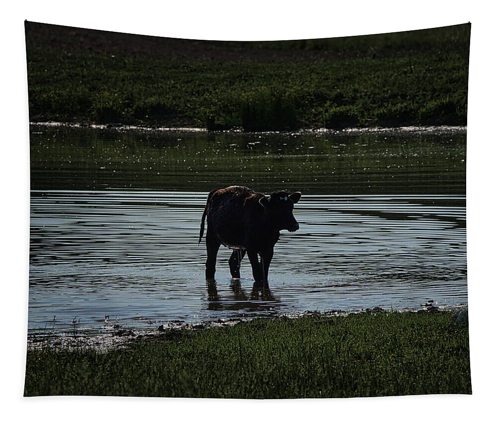 Cow Tapestry featuring the photograph Calf in pond by Ernest Echols
