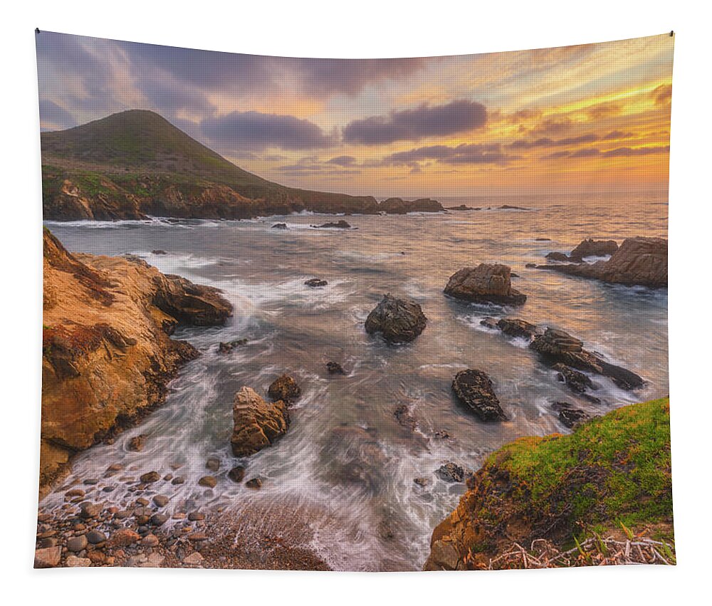 California Tapestry featuring the photograph California Gold by Darren White
