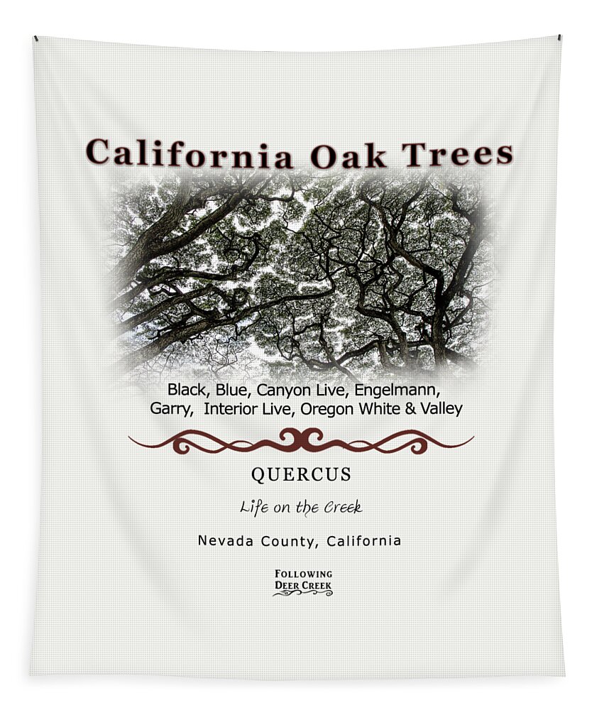 Oaks Tapestry featuring the digital art California Oak Tree Species by Lisa Redfern
