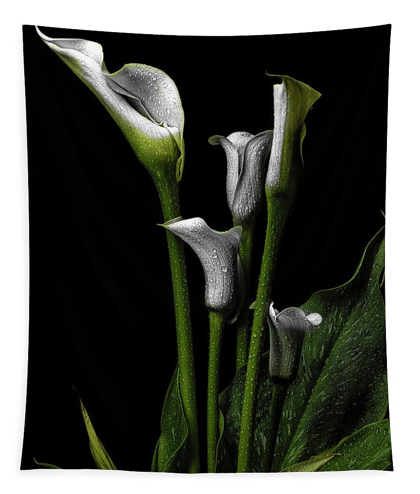 Calla Lily Tapestry featuring the photograph Calla Classic by Judi Kubes