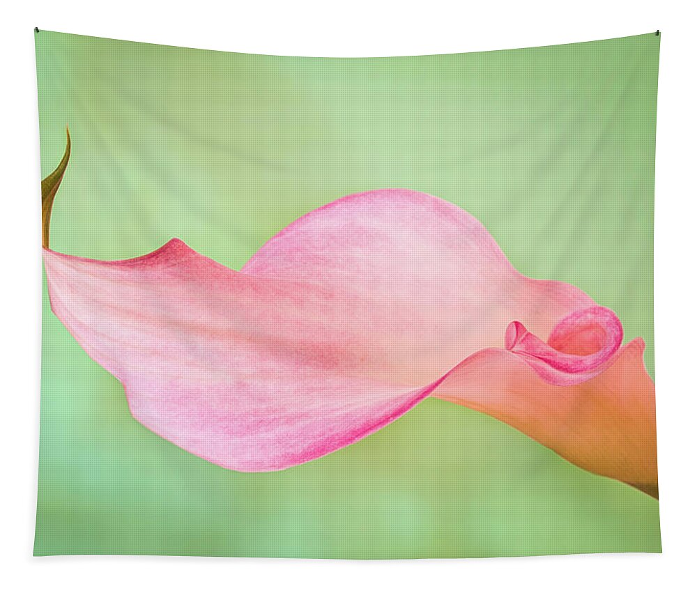 Calla Lily Tapestry featuring the photograph Calla Curves by Elvira Peretsman