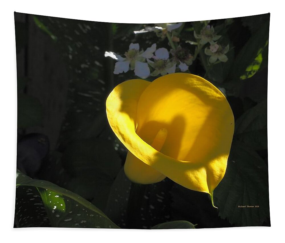 Yellow Tapestry featuring the photograph Calla Lily Berry Blossoms by Richard Thomas