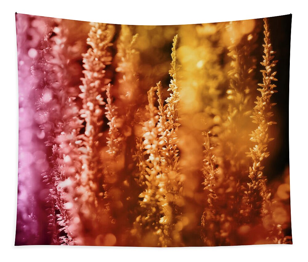 Nature Tapestry featuring the photograph Calluna With Colorful Harmony by Johanna Hurmerinta