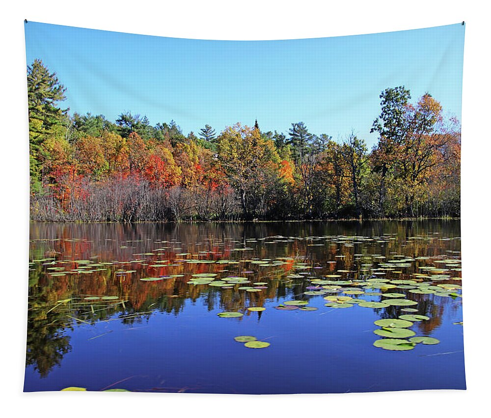 Key River Tapestry featuring the photograph Calm Shallows Of The Key River In Fall by Debbie Oppermann