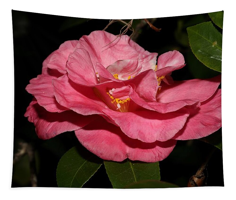 Camellia Tapestry featuring the photograph Camellia XII by Mingming Jiang