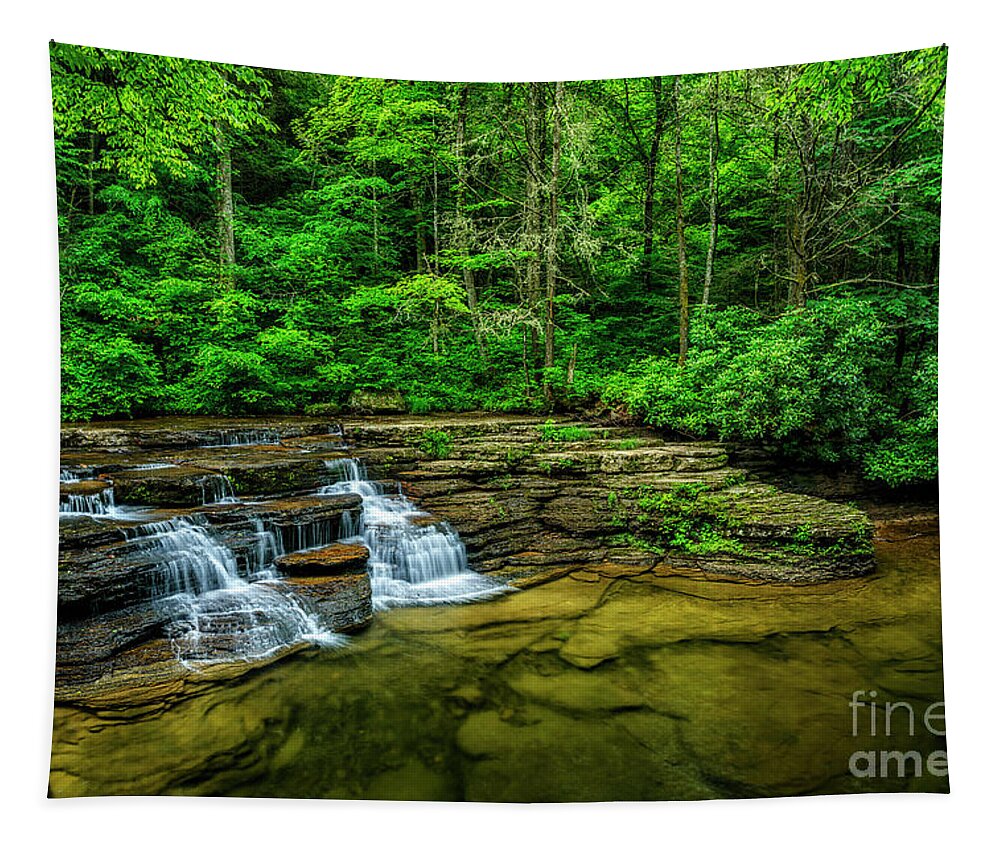 Spring Tapestry featuring the photograph Campbell Falls Camp Creek State Park by Thomas R Fletcher