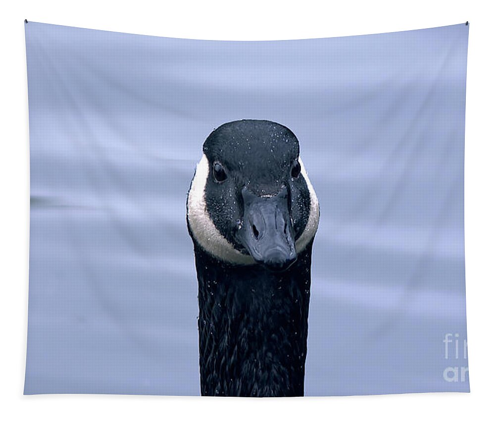 Affinity Photo Tapestry featuring the photograph Canada goose head shot by Pics By Tony