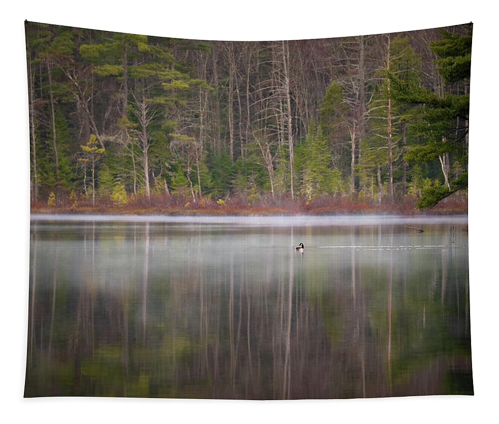 Nature Tapestry featuring the photograph Canada Goose on a Misty Swift River Morning by William Dickman