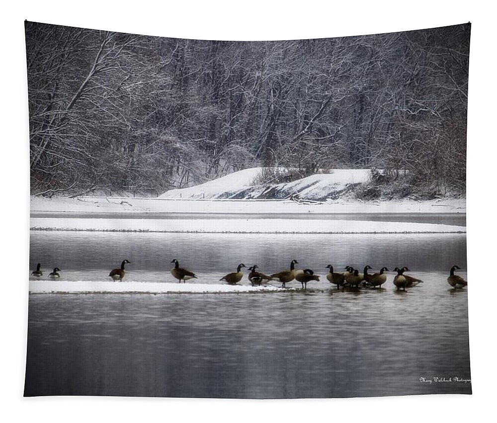 Waterfowl Tapestry featuring the photograph Canadian Geese Gathering by Mary Walchuck
