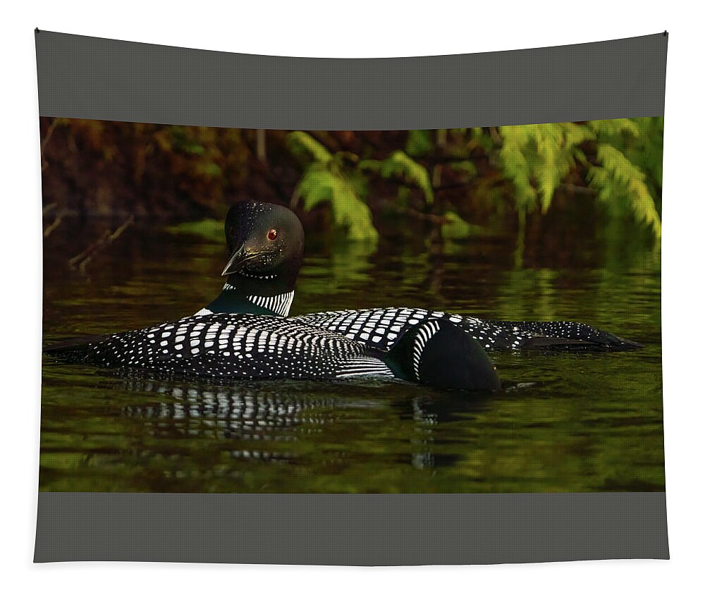 Loons Tapestry featuring the photograph Canadian Loons 13 by Ron Long Ltd Photography