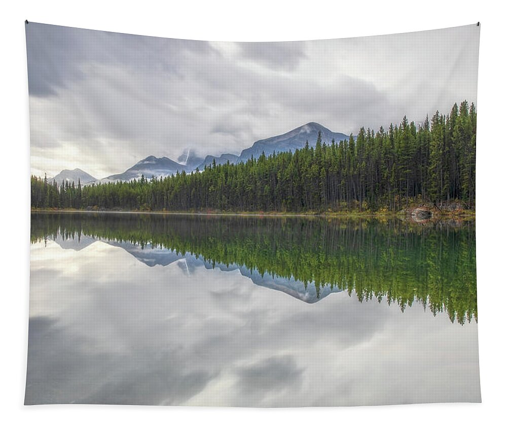 Canadian Rockies Reflection Lake Tapestry featuring the photograph Canadian Rockies Reflection Lake by Dan Sproul
