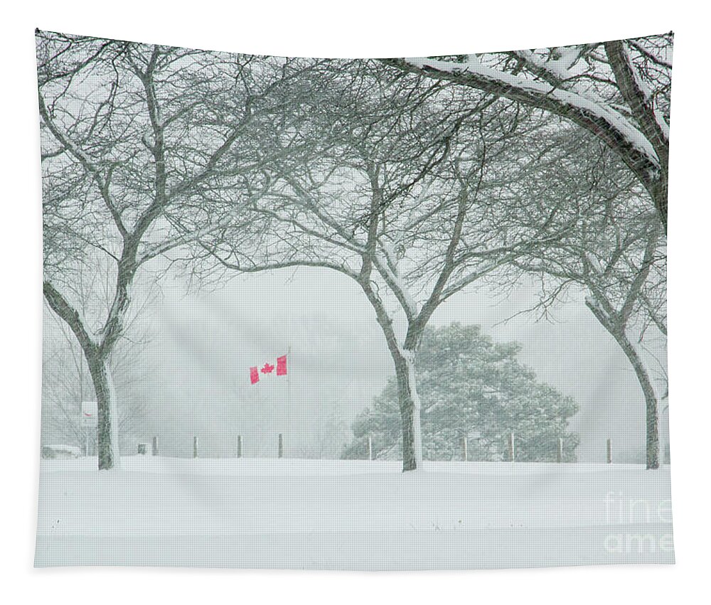 Charles Daley Pari Tapestry featuring the photograph Canadian Welcome by Marilyn Cornwell