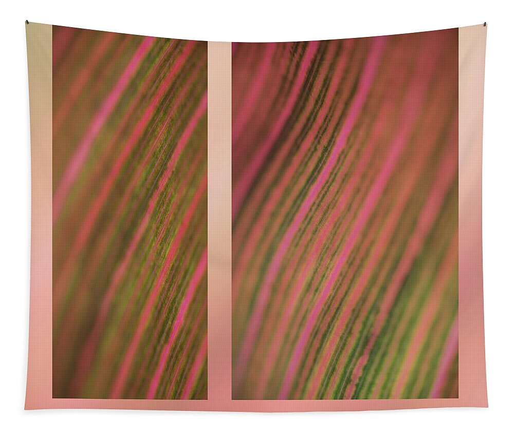 Abstract Tapestry featuring the photograph Canna by Karen Rispin
