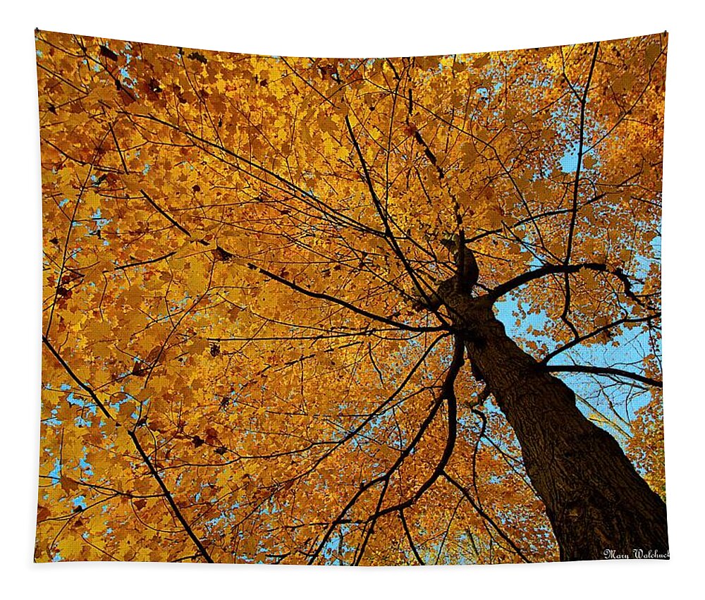 Autumn Leaves Tapestry featuring the photograph Canopy of Color by Mary Walchuck