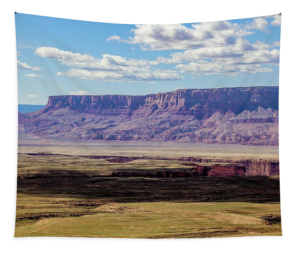 Grand Canyon Tapestry featuring the photograph Canyon In The Desert by Alberto Zanoni