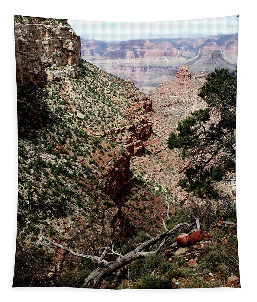Landscape Tapestry featuring the photograph Canyon by WonderlustPictures By Tommaso Boddi