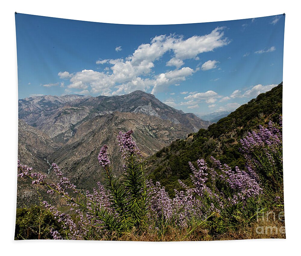 Kings Canyon Tapestry featuring the photograph Canyon Wildflowers by Erin Marie Davis