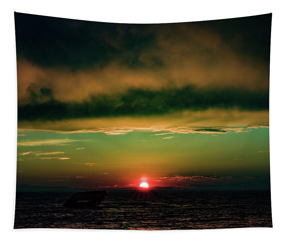 Cape May Point Tapestry featuring the photograph Cape May Point Sunset by Louis Dallara