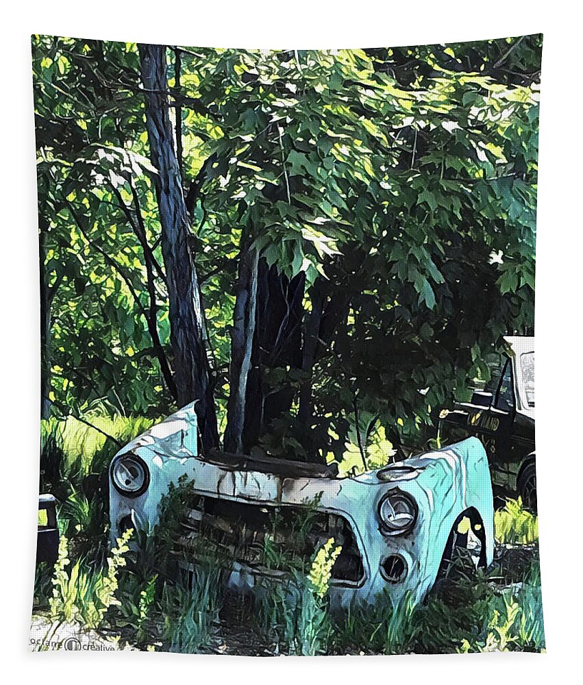 Car Tapestry featuring the photograph Car and Tree by Tim Nyberg