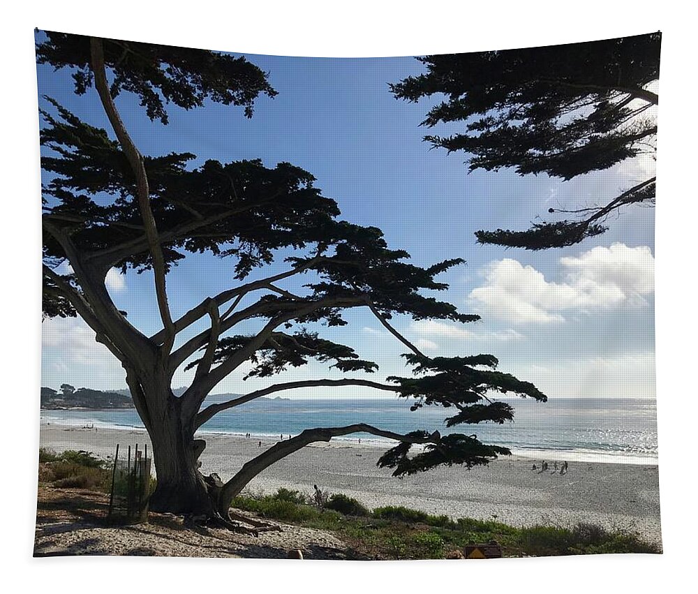 Carmel By The Sea Tapestry featuring the painting Carmel Beach by Luisa Millicent