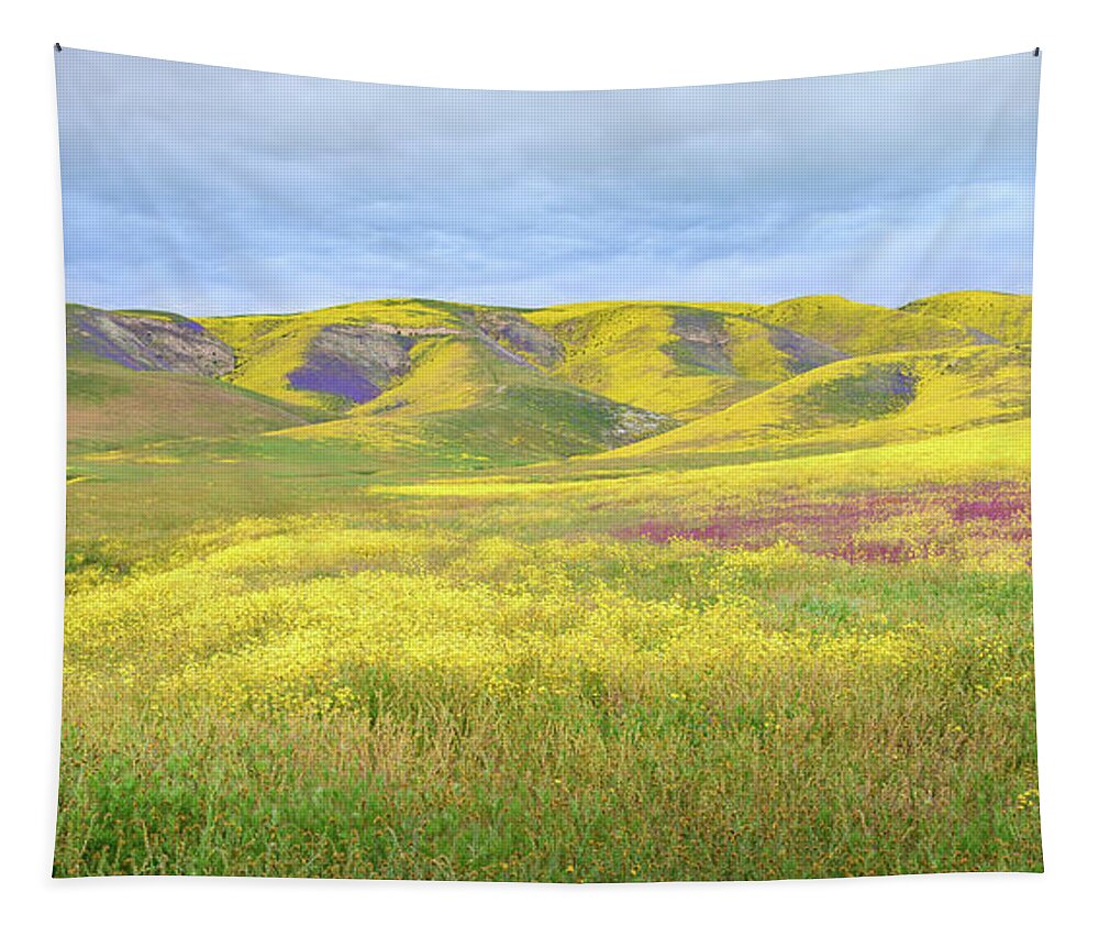 California Tapestry featuring the photograph Carrizo Plain - Prismatic Pastures by Alexander Kunz