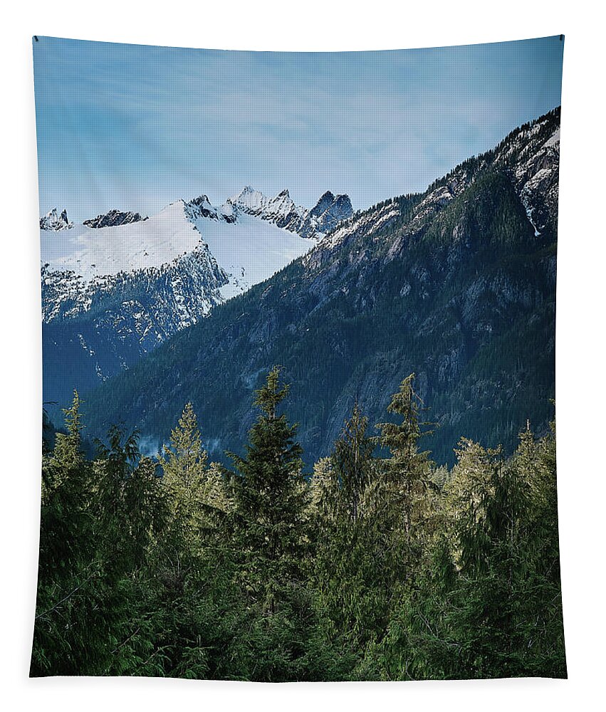 Snow Capped Tapestry featuring the photograph Cascade View by Jermaine Beckley
