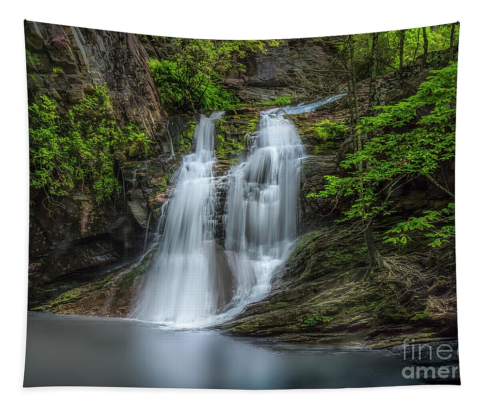 Cascades Tapestry featuring the photograph Cascades at Hanging Rock by Shelia Hunt