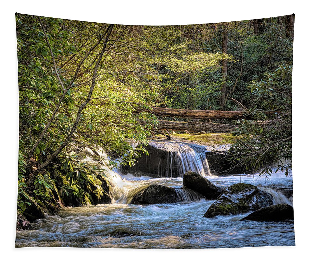 Waterfall Tapestry featuring the photograph Cascading Waters in the Mountains by Debra and Dave Vanderlaan