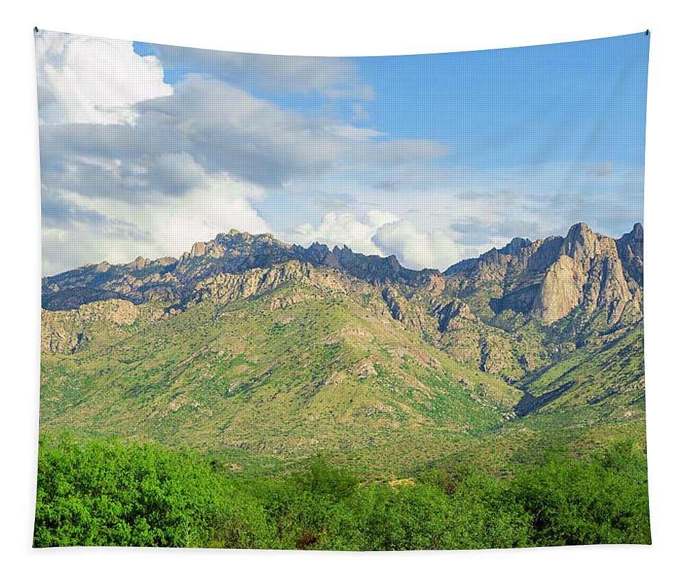 Arizona Tapestry featuring the photograph Catalina Mountains P24861-L by Mark Myhaver