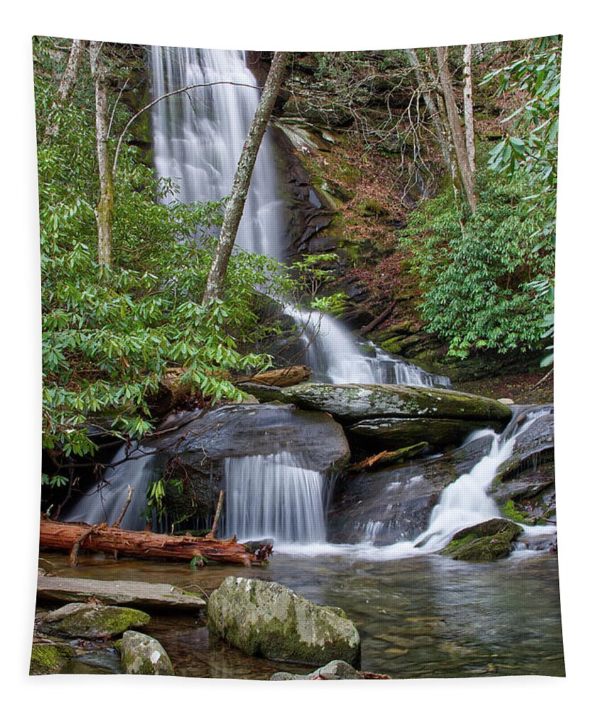 Catawba Falls Tapestry featuring the photograph Catawba Falls 28 by Phil Perkins