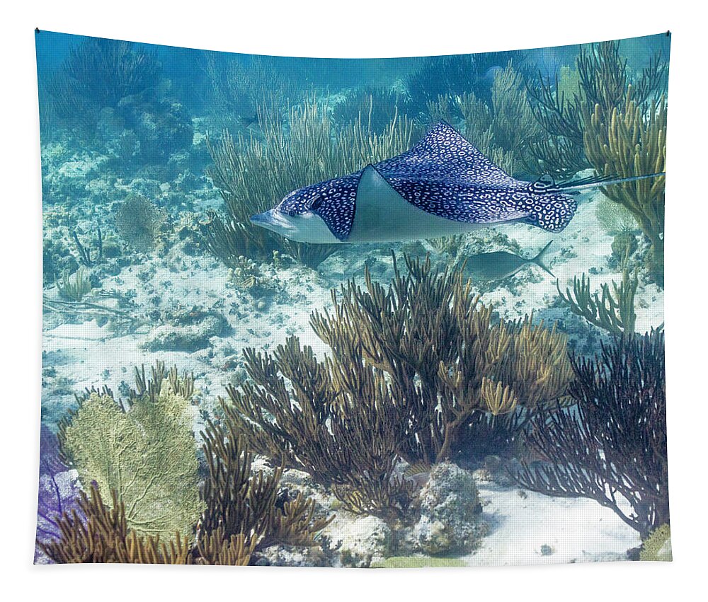 Grand Cayman Tapestry featuring the photograph Catch Me If You Can by Lynne Browne