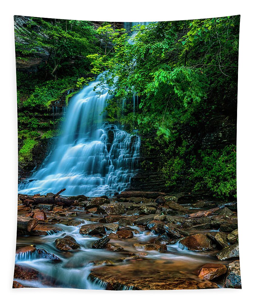 Cathedral Falls Tapestry featuring the photograph Cathedral Falls in Morning Shade by Thomas R Fletcher