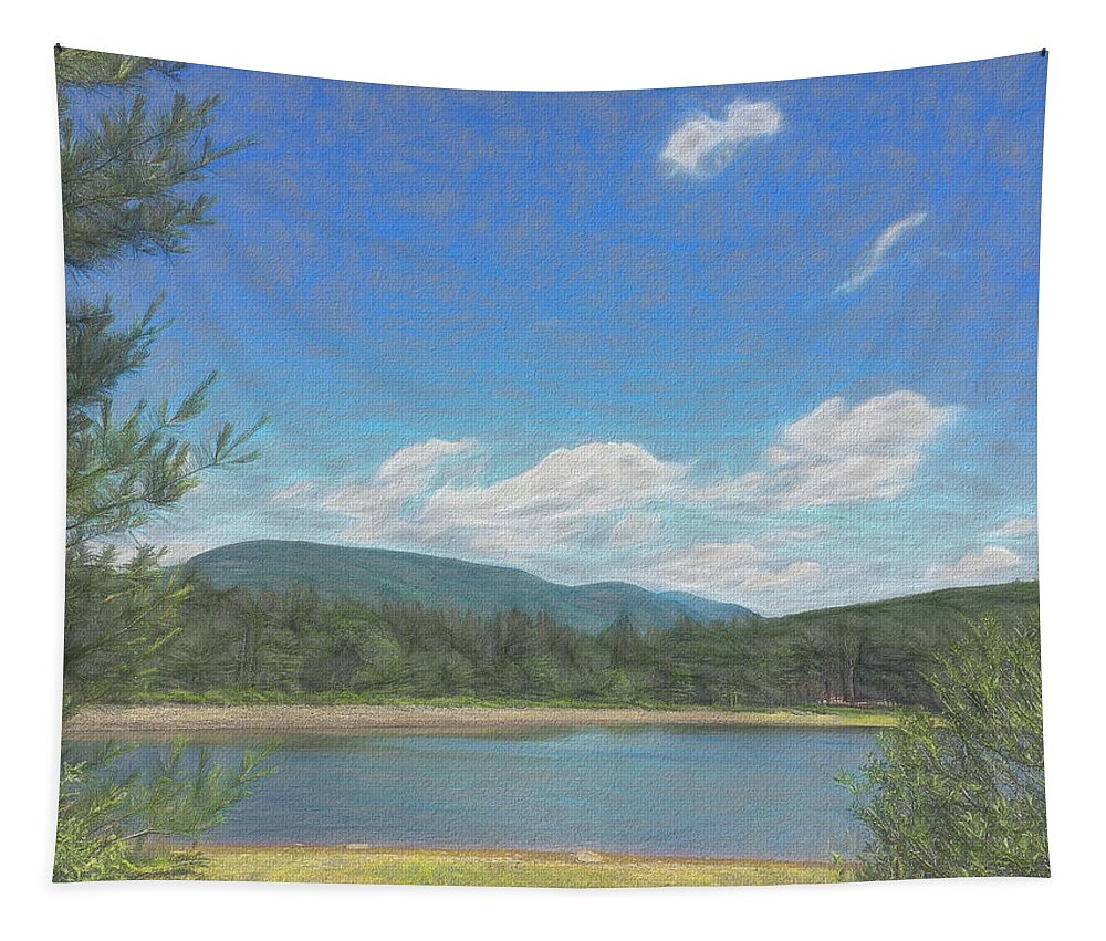 Catskills Tapestry featuring the photograph Catskills Lake Early Summer by Nancy De Flon