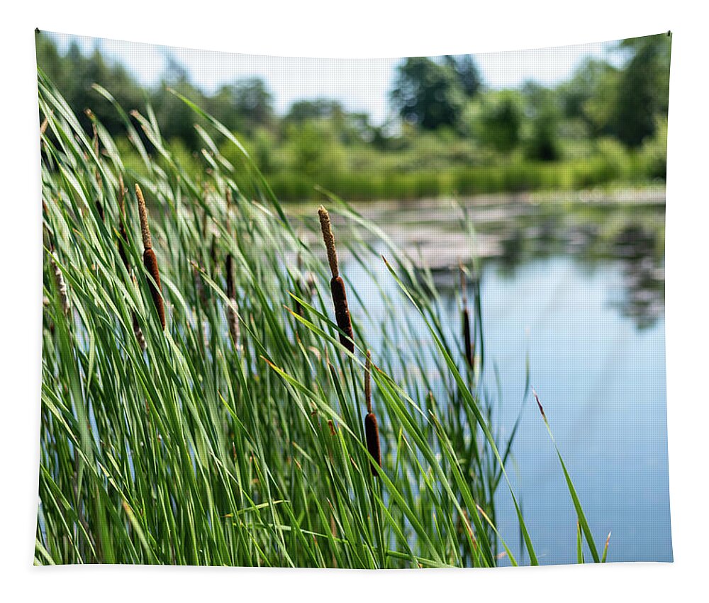 Cattails In A Gentle Breeze Tapestry featuring the photograph Cattails in A Gentle Breeze by Tom Cochran