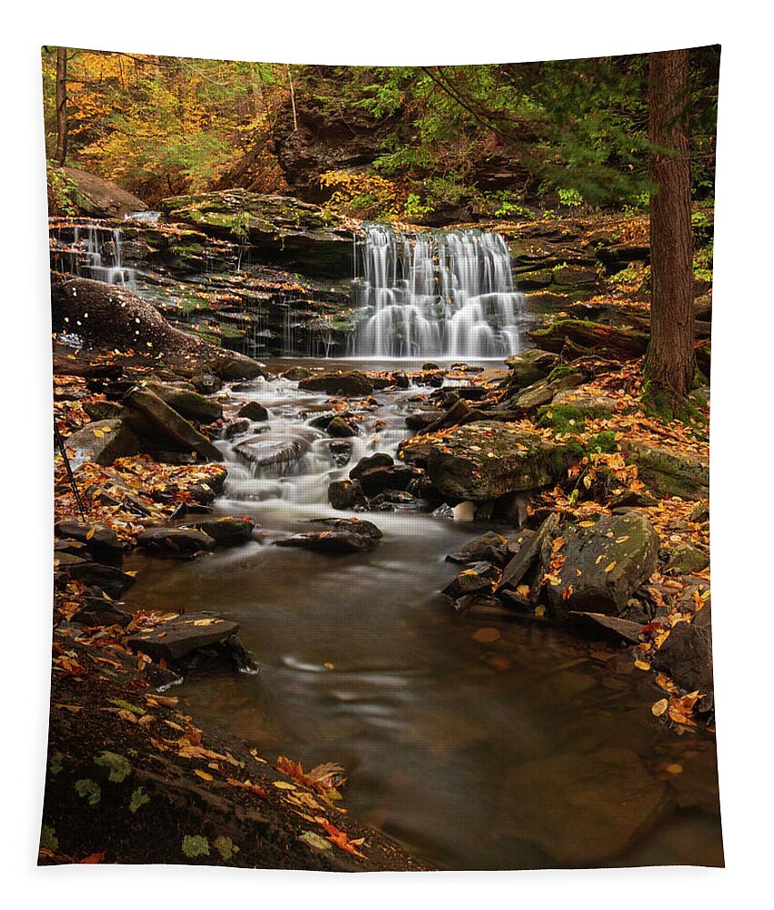 Ricketts Glen Tapestry featuring the photograph Cayuga Falls In Autumn at Ricketts Glen by Kristia Adams