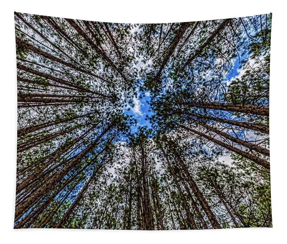 Higgins Lake Tapestry featuring the photograph CCC Pines Lookup by Joe Holley