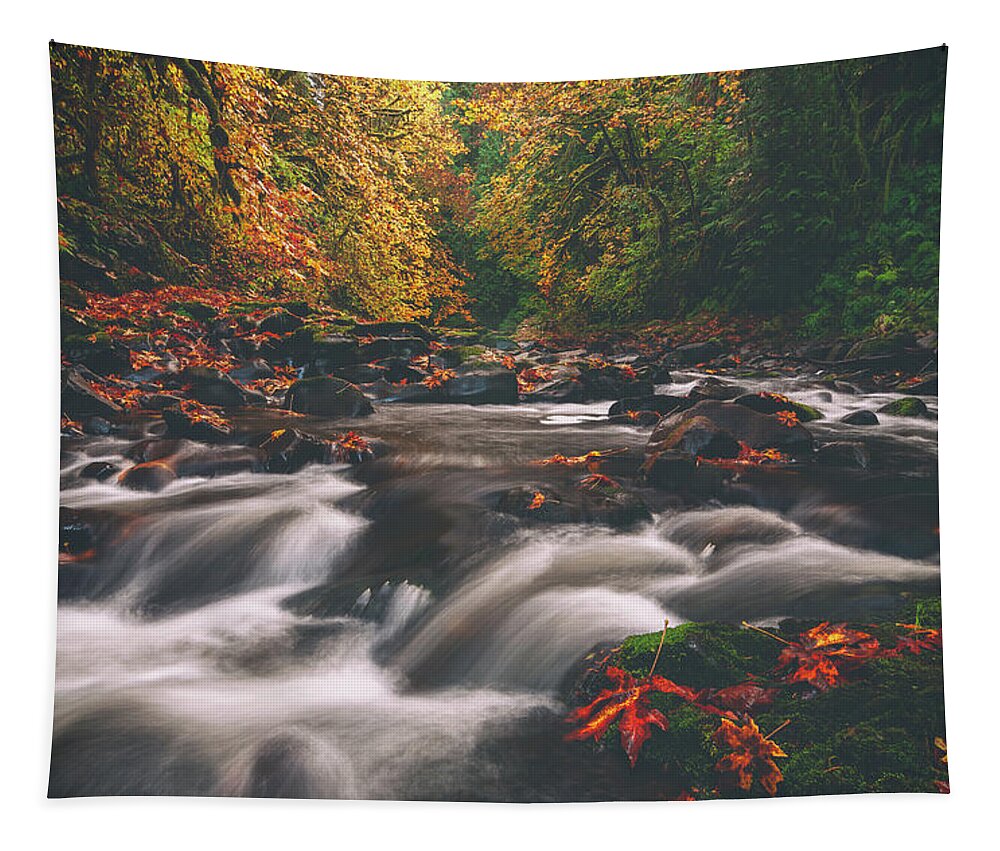 Autumn Tapestry featuring the photograph Cedar Creek Spice by Darren White