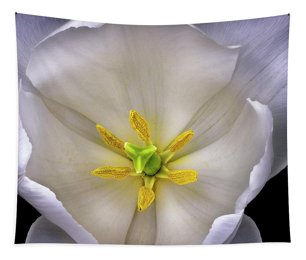 White Tulip Tapestry featuring the photograph Center Of A Tulip by Endre Balogh