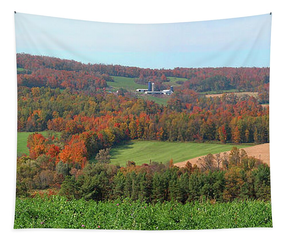 Landscape Tapestry featuring the photograph Central New York in the Fall by Mariarosa Rockefeller