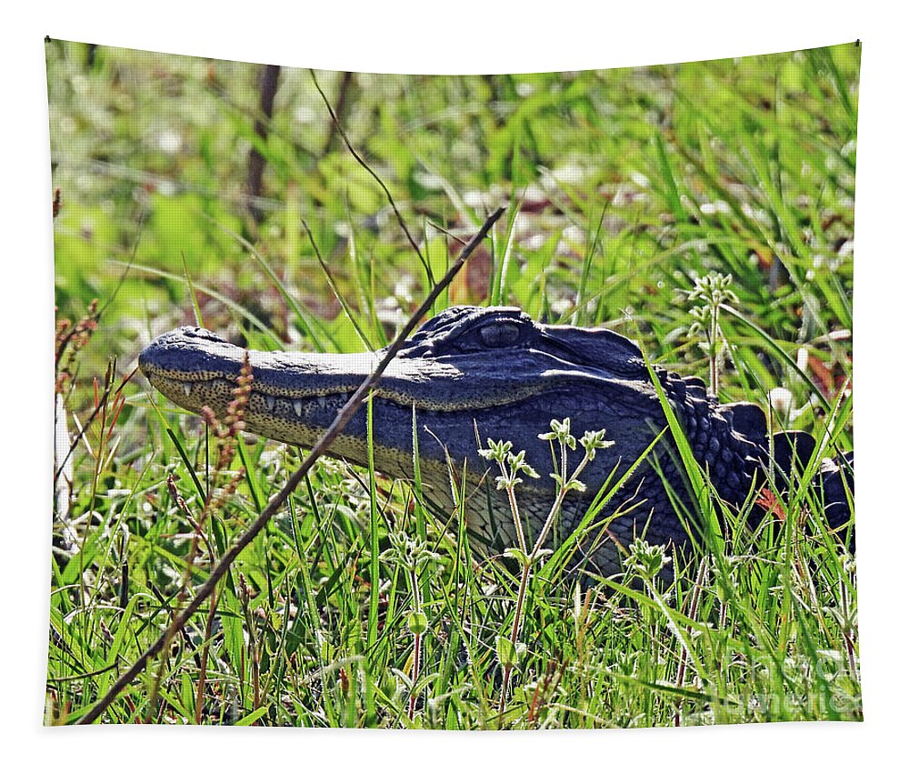 Wildlife Tapestry featuring the photograph 4 Harris Neck NWR Yearling Gator by Lizi Beard-Ward