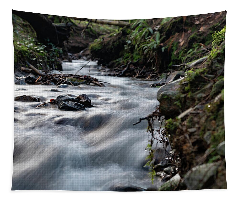Brook Tapestry featuring the photograph Change in the air by Gavin Lewis